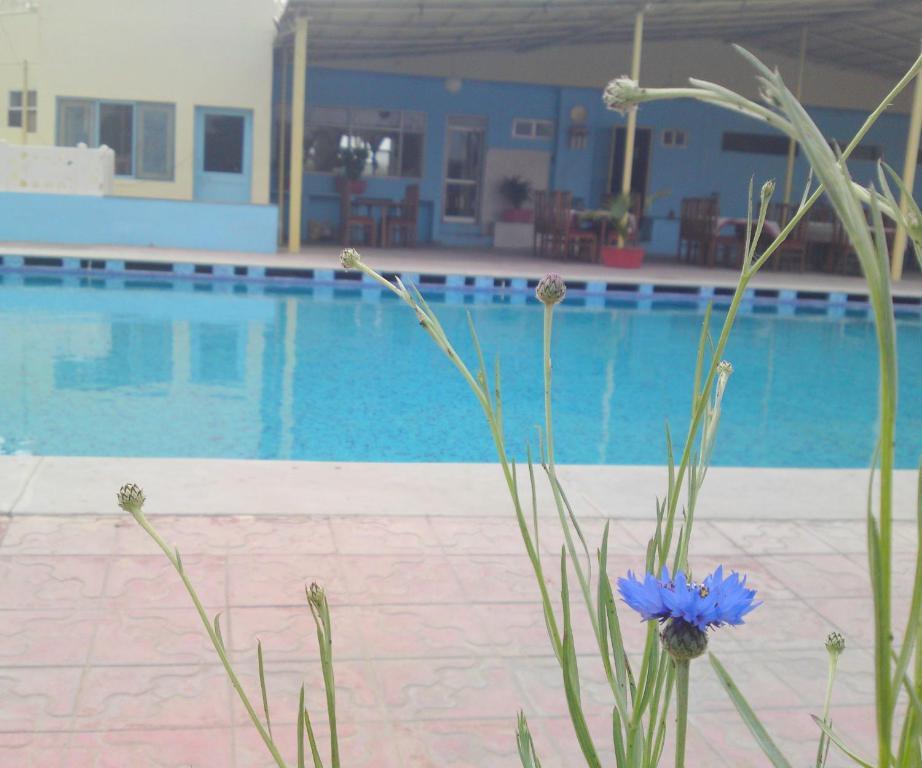 Swaraj Resorts Bharatpur Bagian luar foto