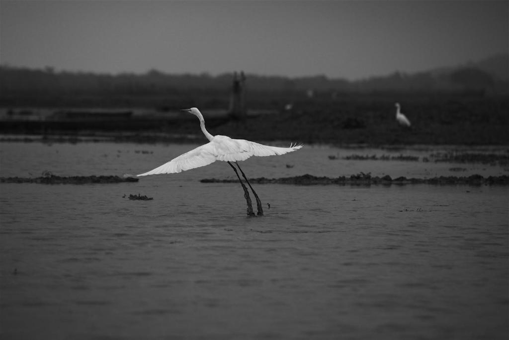 Swaraj Resorts Bharatpur Bagian luar foto